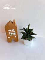 ต้นไม้ประดิษฐ์พร้อมส่ง