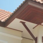 ขายไม้บัวกลางพร้อมส่งแม่สอด