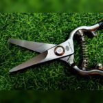 ขายกรรไกรตัดกิ่งพร้อมส่งแม่สอด