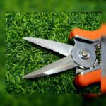 ขายกรรไกรตัดกิ่งพร้อมส่งแม่สอด